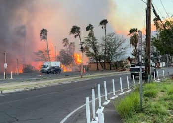 El fuego en la isla Maui. Foto: The Daily Beast.
