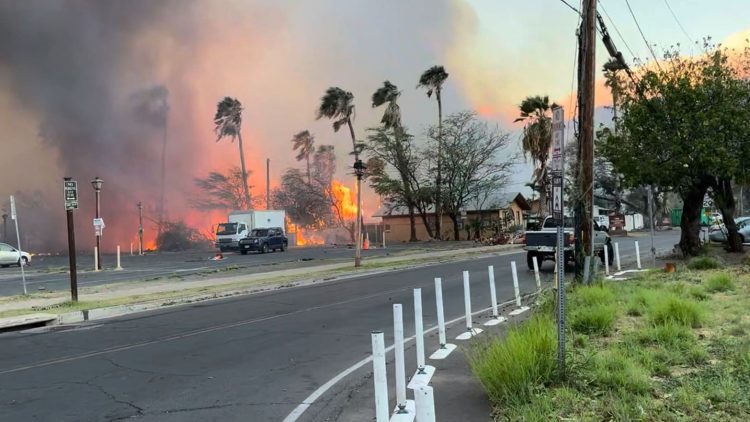 El fuego en la isla Maui. Foto: The Daily Beast.