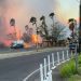 El fuego en la isla Maui. Foto: The Daily Beast.