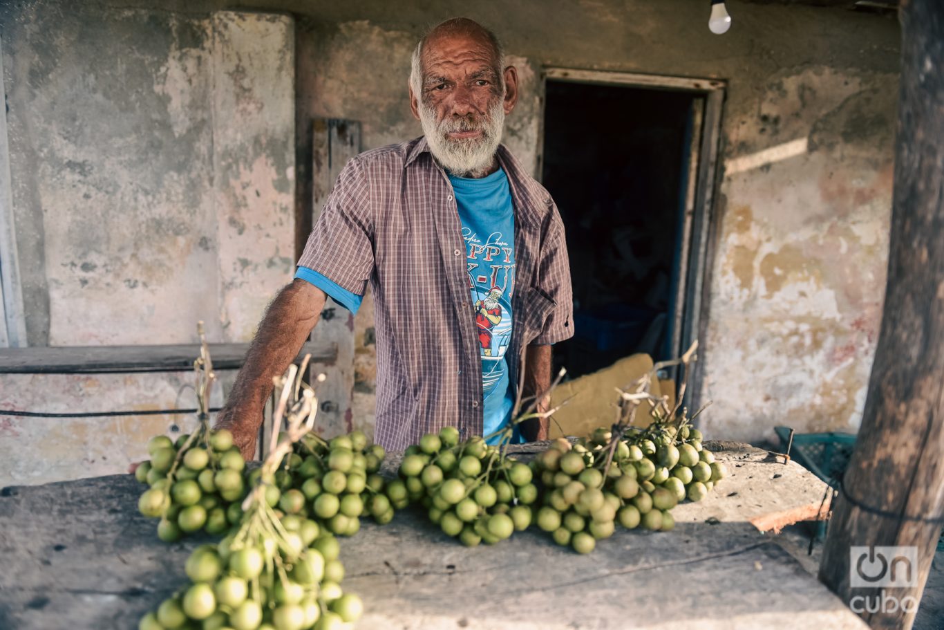 anciano tercera edad vendedor cuba Foto: Kaloian.