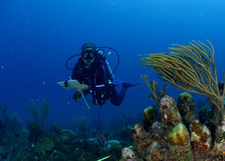 Bojeo a Cuba. Foto: Naturaleza Secreta / Facebook.