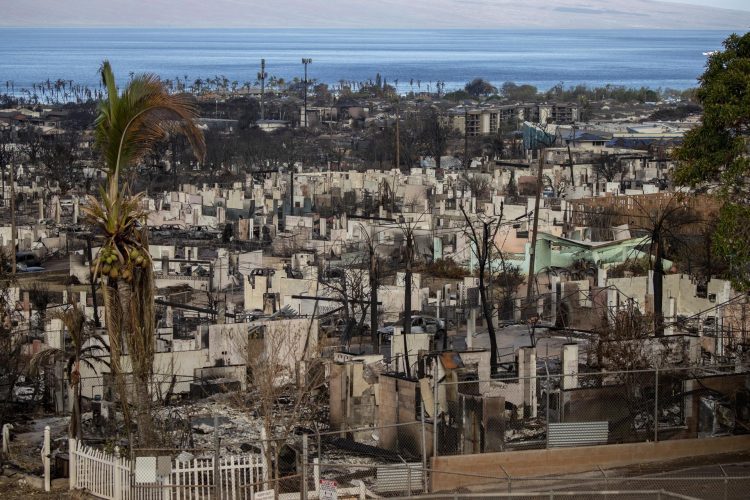 Según funcionarios del condado de Maui, al menos 106 personas murieron en el incendio forestal de Lahaina. Foto: ETIENNE LAURENT/EFE/EPA.