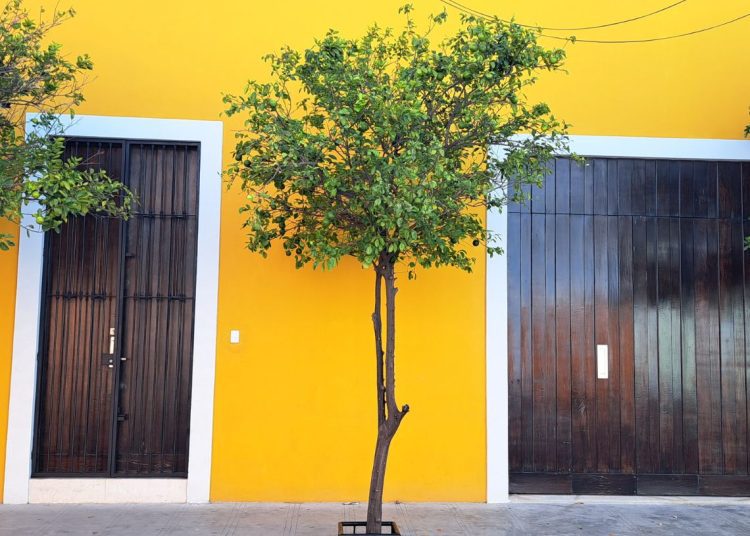 Mérida, Yucatán. Foto: Alex Fleites.