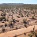 El Paso es actualmente el cuarto cruce fronterizo más transitado. La gran mayoría de las 134 muertes están relacionadas con el calor, dijo la Patrulla Fronteriza de Estados Unidos. Foto: CNN.