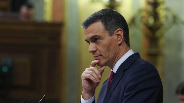 Pedro Sánchez. Foto: EFE.