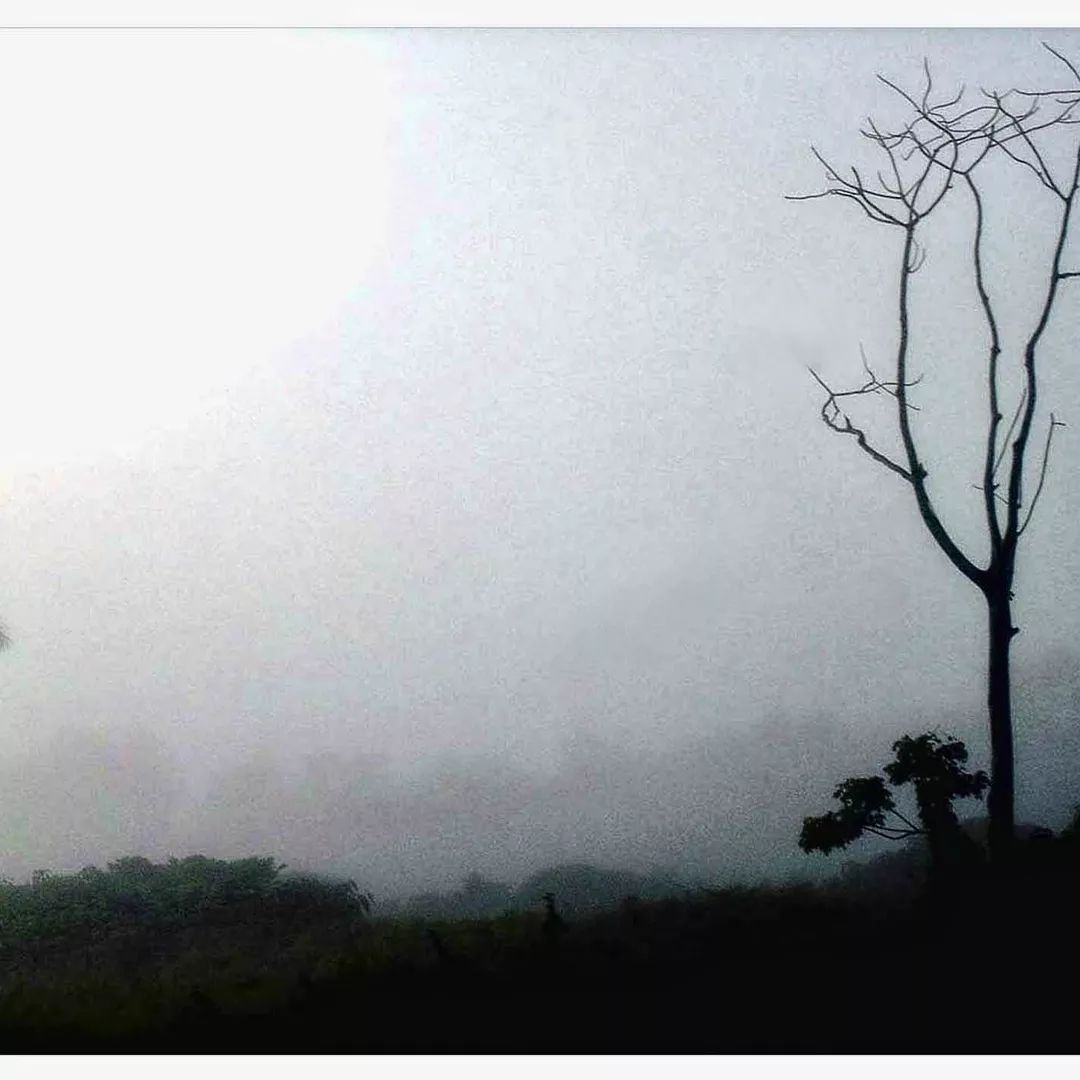 Fotografía de Enmanuel Castells Carrión. Foto: Tomada de Instagram.