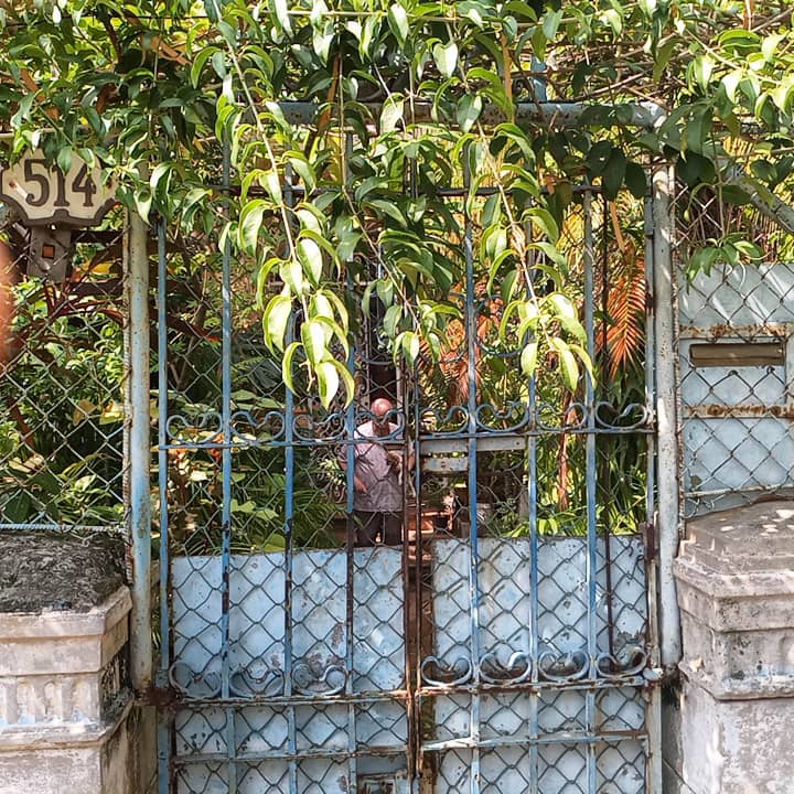 Reynaldo González saliendo a su jardín, una suerte de jungla de bolsillo. Foto: Ángel Marqués Dolz.