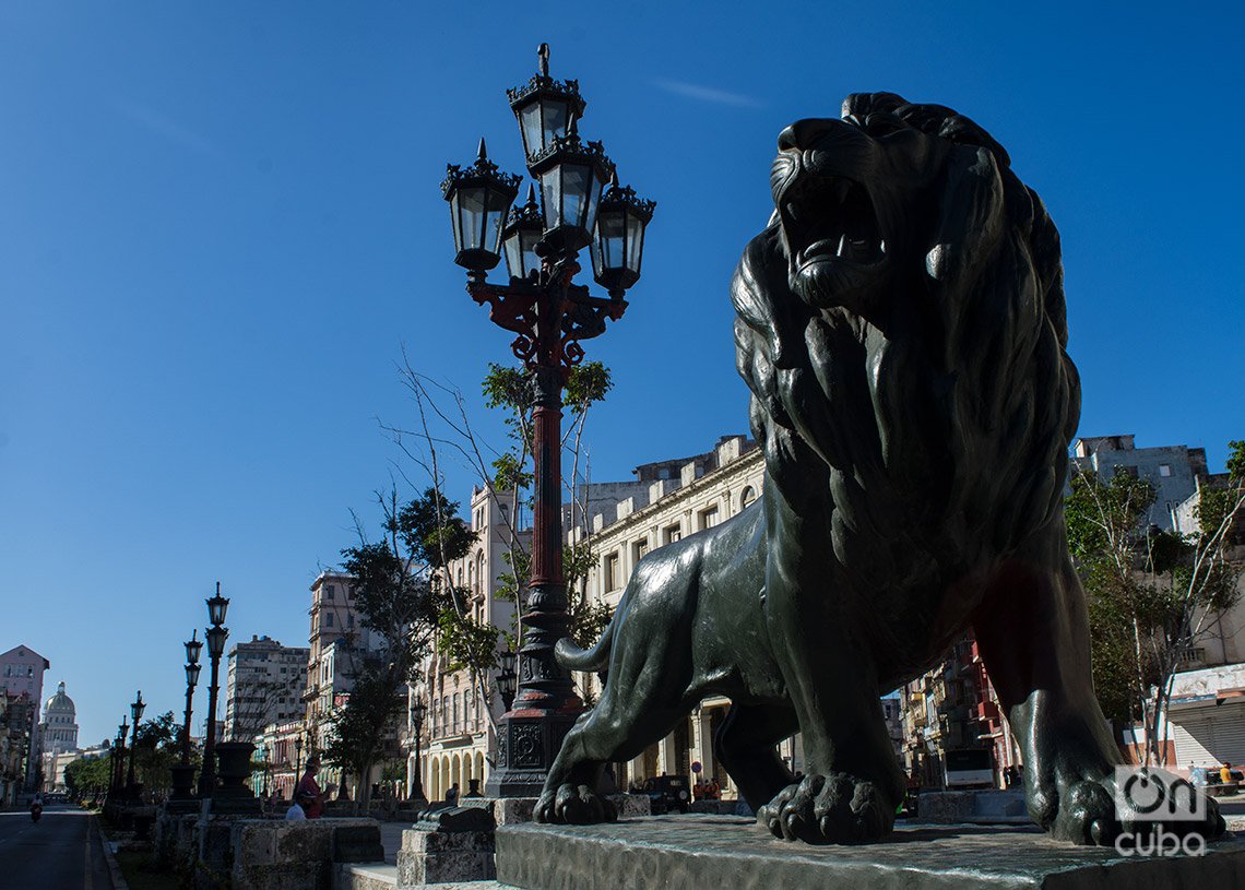 Los leones del Prado de La Habana fueron fundidos con bronce provenientes de cañones. Foto: Otmaro Rodríguez.