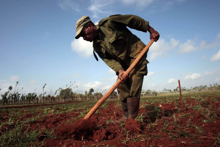 Foto: Cuba noticias 360 jpg