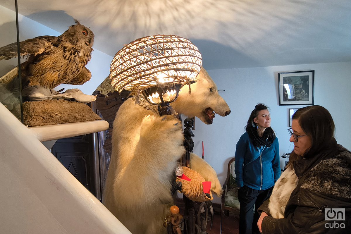 Un oso disecado que sostiene una lámpara, regalo de un amigo y decorado por Dalí, da la bienvenida a los visitantes. Detrás, un búho que también pasó por las manos de un taxidermista. Foto: Alejandro Ernesto.