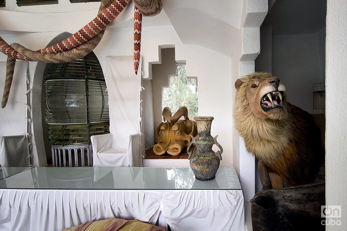 Un león disecado, uno de los animales que decoran la residencia de Dalí. "En esta casa todo está disecado", solía decir el pintor. Foto: Alejandro Ernesto.