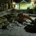 Vista de los daños en el Santuario Onohiyoshi tras un fuerte terremoto en Kanazawa, Japón central, el 1 de enero de 2024. Foto: EFE.