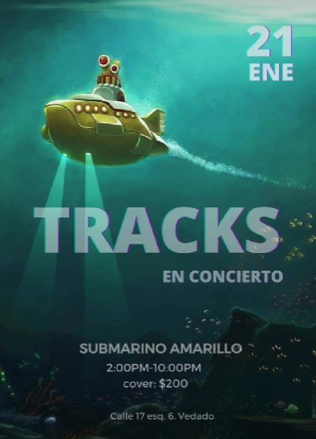 tracks sub amarillo enero