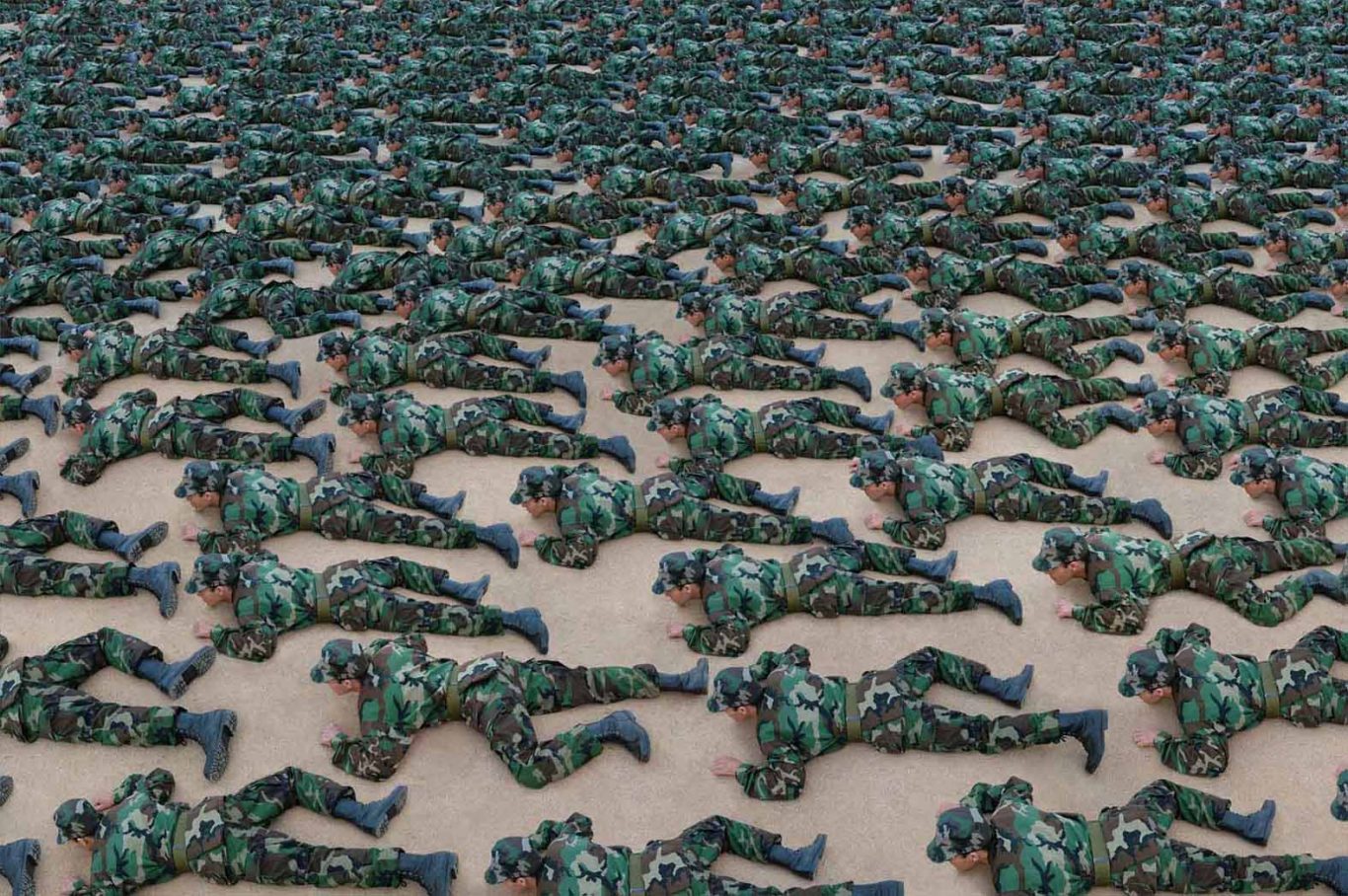 “Maleza”, de la serie “Camuflajes”, 2005. Fotografía digital.