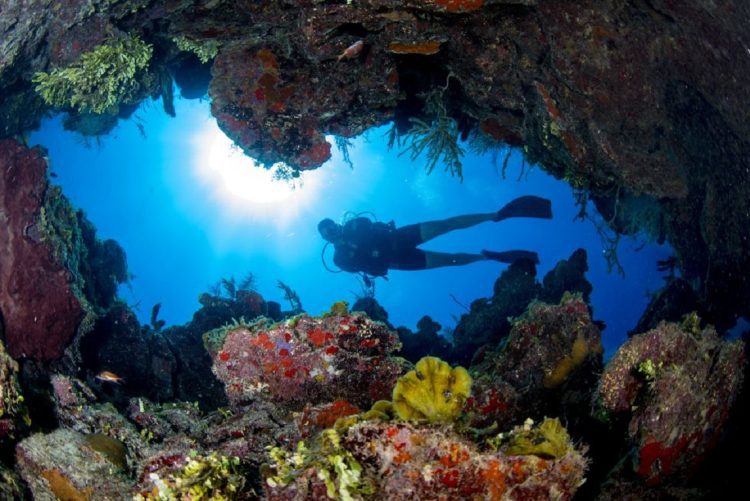 Buceo en Cuba. Foto: El Viajero / Archivo.