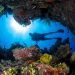 Buceo en Cuba. Foto: El Viajero / Archivo.