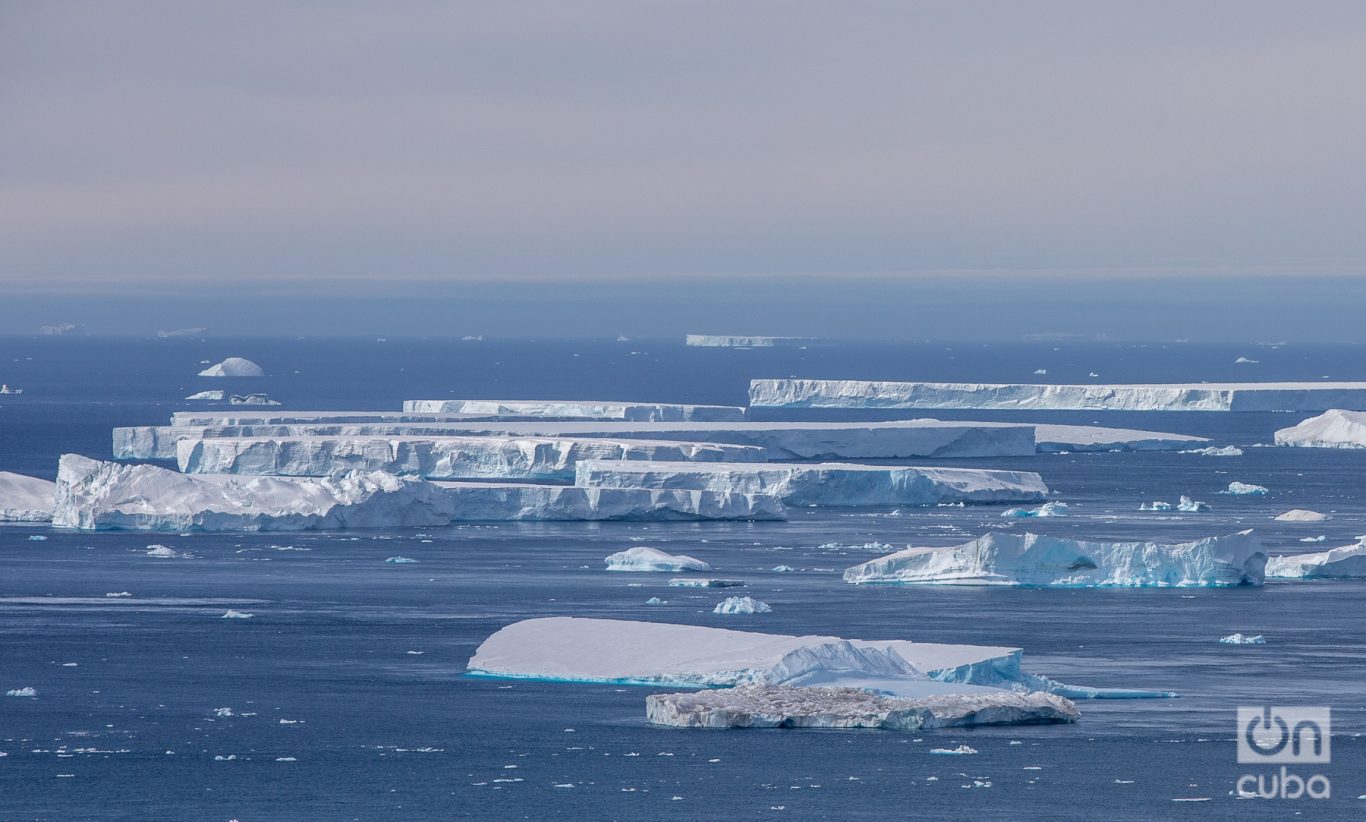 El hielo marino que rodea la Antártida está muy por debajo de cualquier nivel invernal registrado antes. Foto: Kaloian.