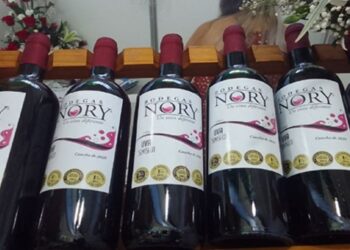 Vinos de la mimype Bodegas Nory, de Cienfuegos. Foto: Tomada de Radio Ciudad del Mar.