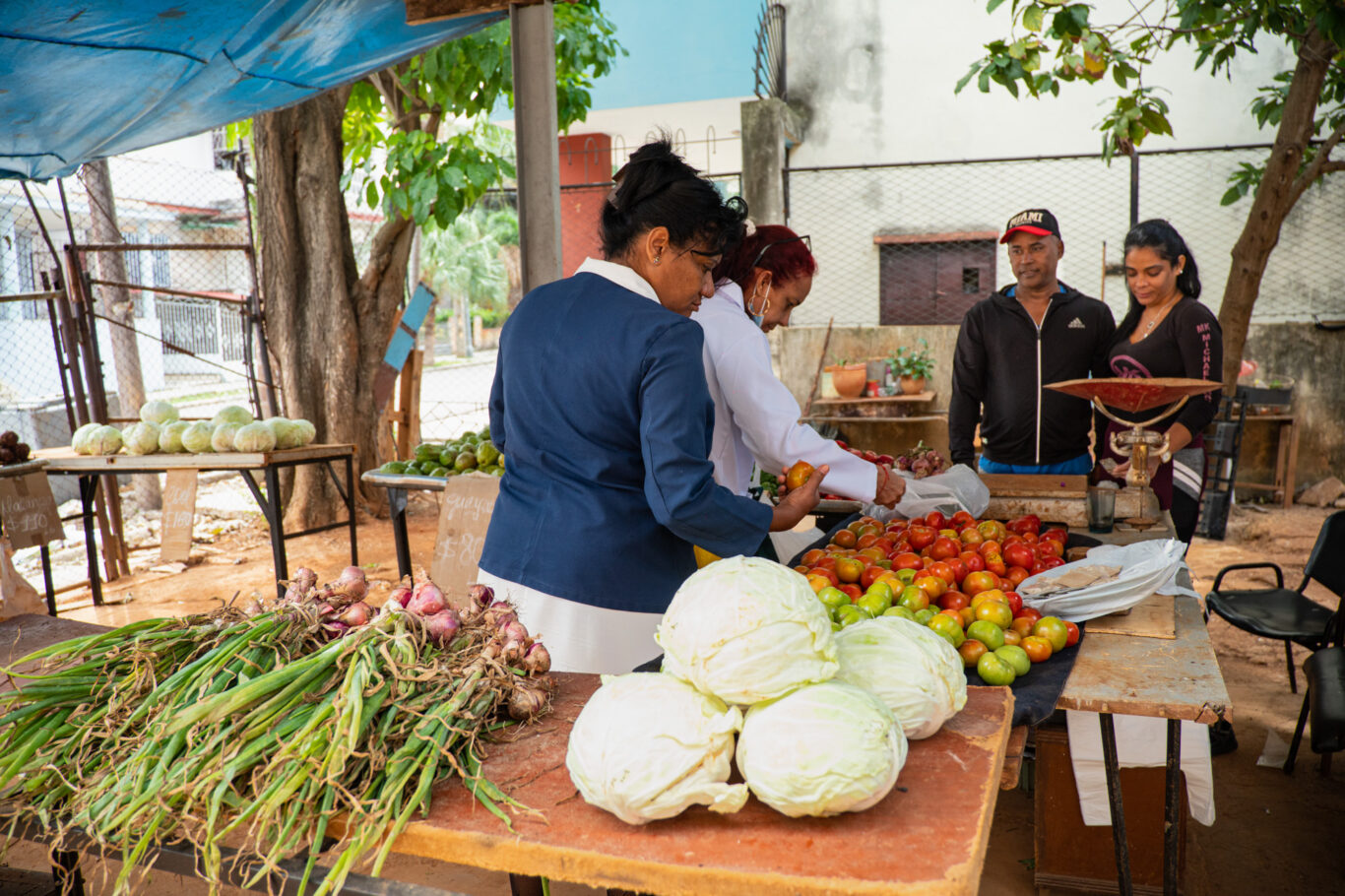 Cuando veo a Virgen, mi doctora del consultorio, comprando viandas recuerdo que gracias a los médicos tenemos nuestro agrito de barrio. Foto: Jorge Ricardo.