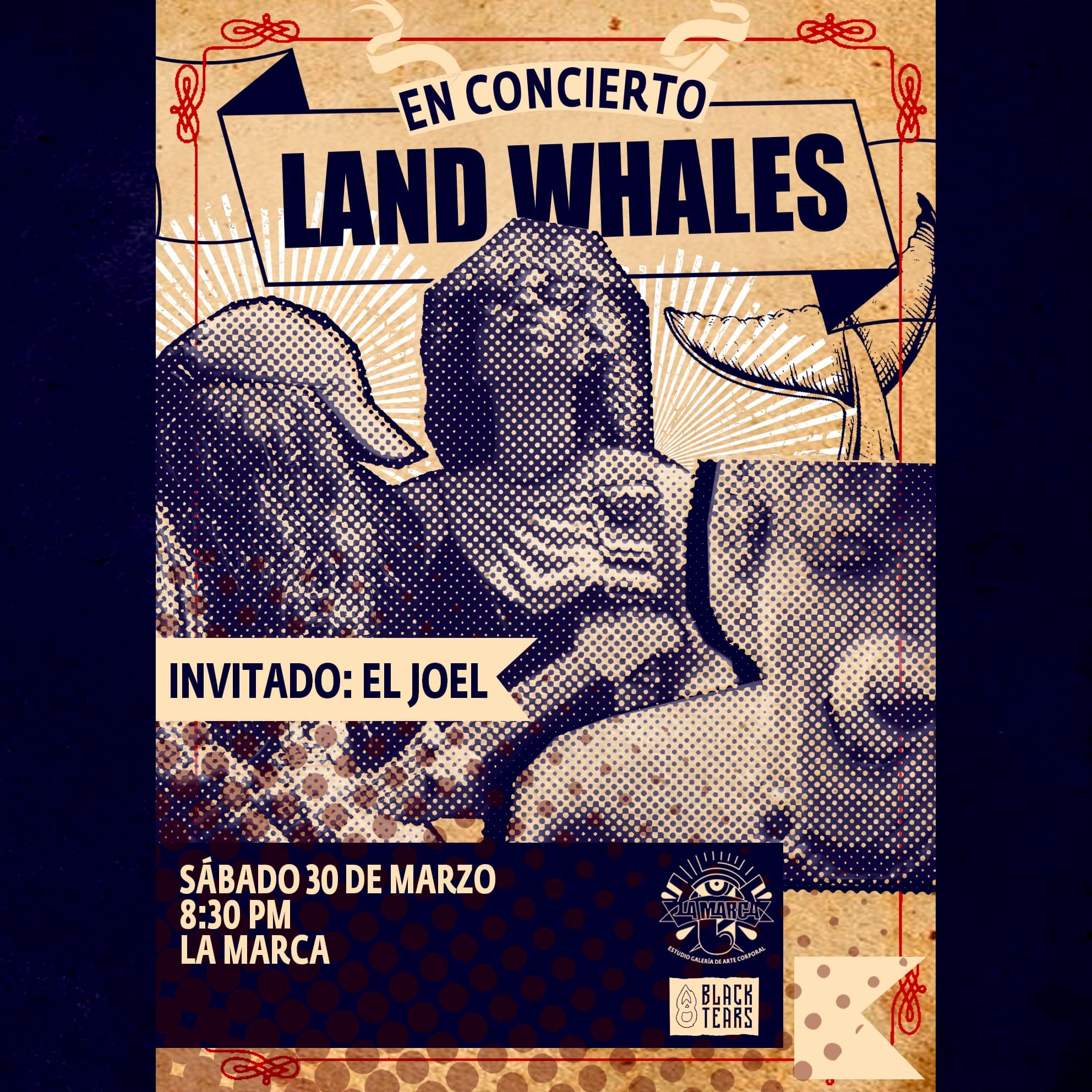 land whales en la marca