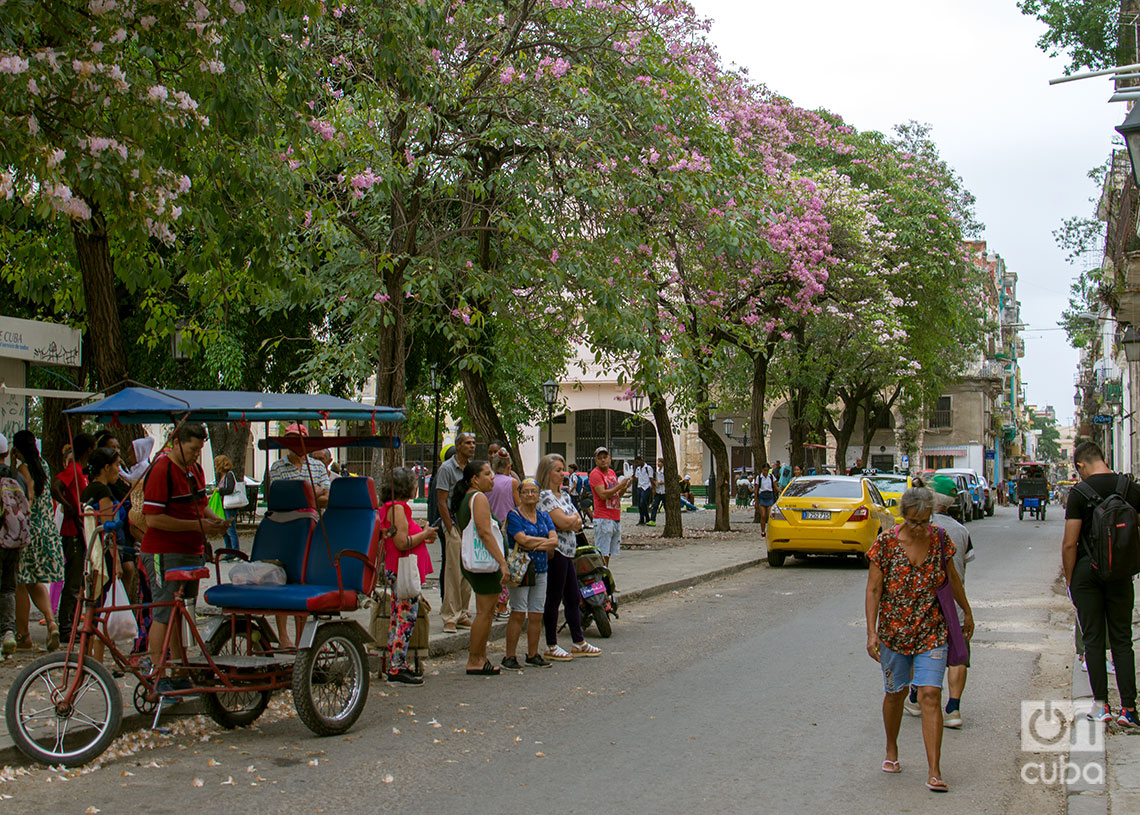 En algunas zonas de La Habana las colas se realizan en la calle. Foto: Otmaro Rodríguez.