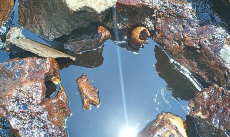 Efectos de un derrame contaminante en la bahía de Cárdenas, Matanzas. Foto: Telebandera / Facebook.