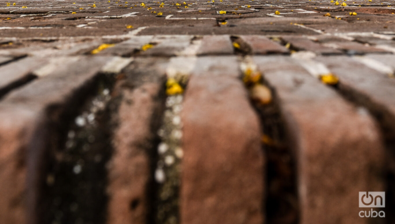 The ground of San José Park. Photo: Kaloian.