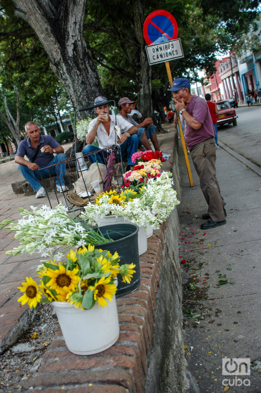 Flower sellers. Photo: Kaloian.