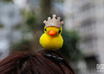 Un patico decorado con una corona. Foto: Kaloian.
