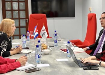 Vicecanciller Josefina Vidal en la reunión de la AEC en Suriman. Foto: tomada de la cuenta en X de la funcionaria cubana.