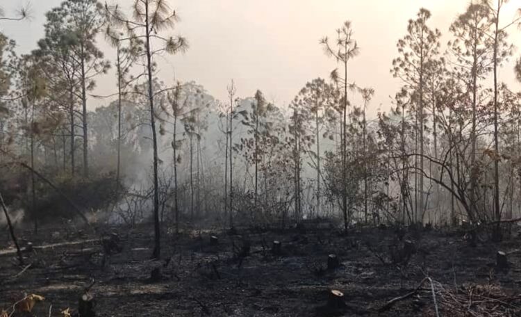 El incendio sofocado ocurrió en una zona conocida como Agua Dulce, muy próximo al área montañosa de San Simón de las cuchillas. Foto: Rosalía Suárez Said/Facebook.