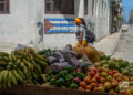 Foto: Otmaro Rodríguez.