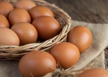 Crecerá la exportación de huevos colombianos a Cuba. Foto: Freepik