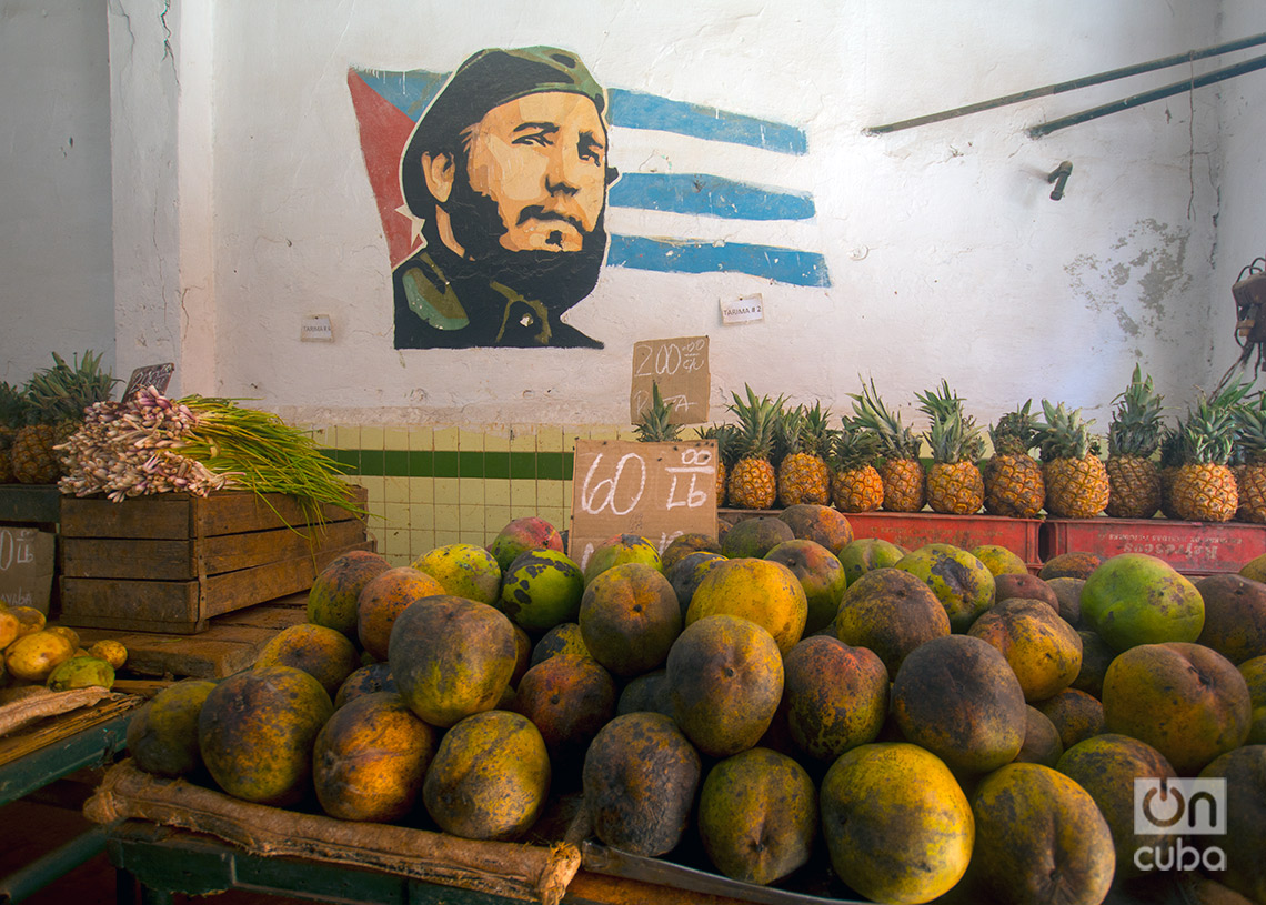 Mercado agropecuario en La Habana. Foto: Otmaro Rodríguez.