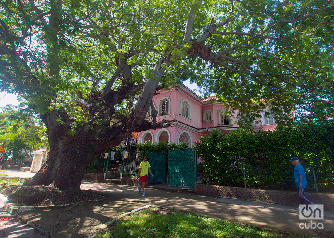 Antigua mansión, todavía una residencia familiar, en la avenida de Santa Catalina. Foto: Otmaro Rodríguez.