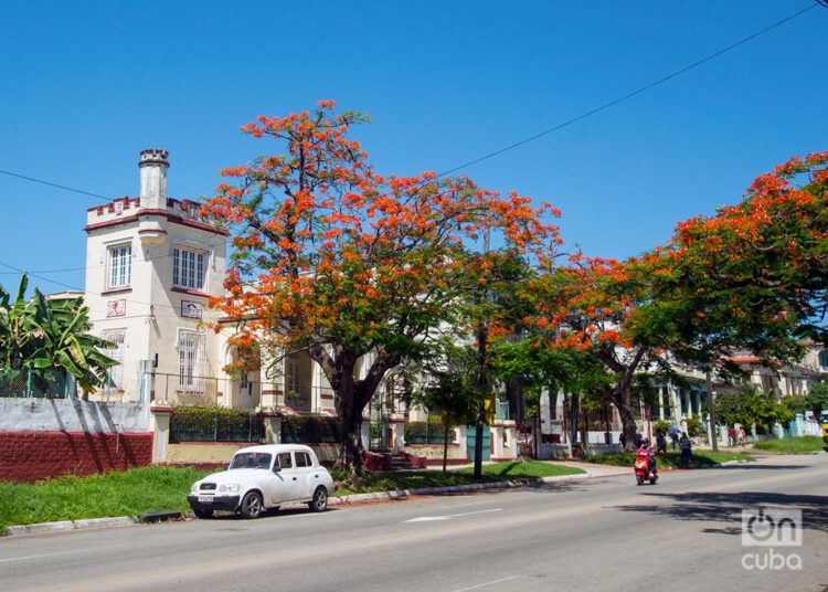 Avenida de Santa Catalina, en La Habana. Foto: Otmaro Rodríguez.