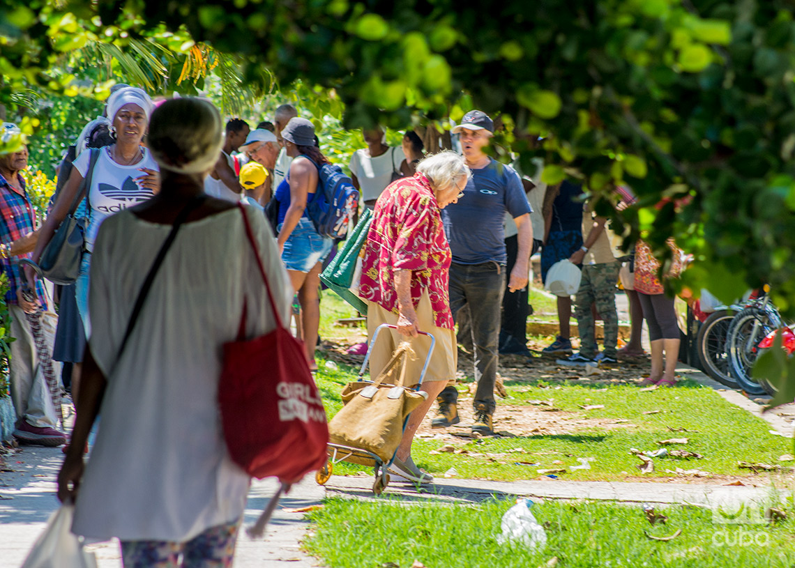 Ancianos y otras personas en una cola en el Vedado, en el municipio Plaza de la Revolución. Foto: Otmaro Rodríguez.