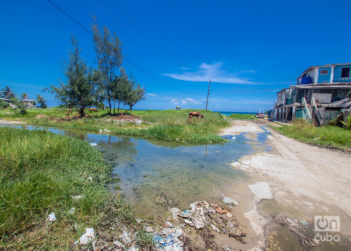 Ruralización de una parte de Guanabo. Fotos: Otmaro Rodríguez.