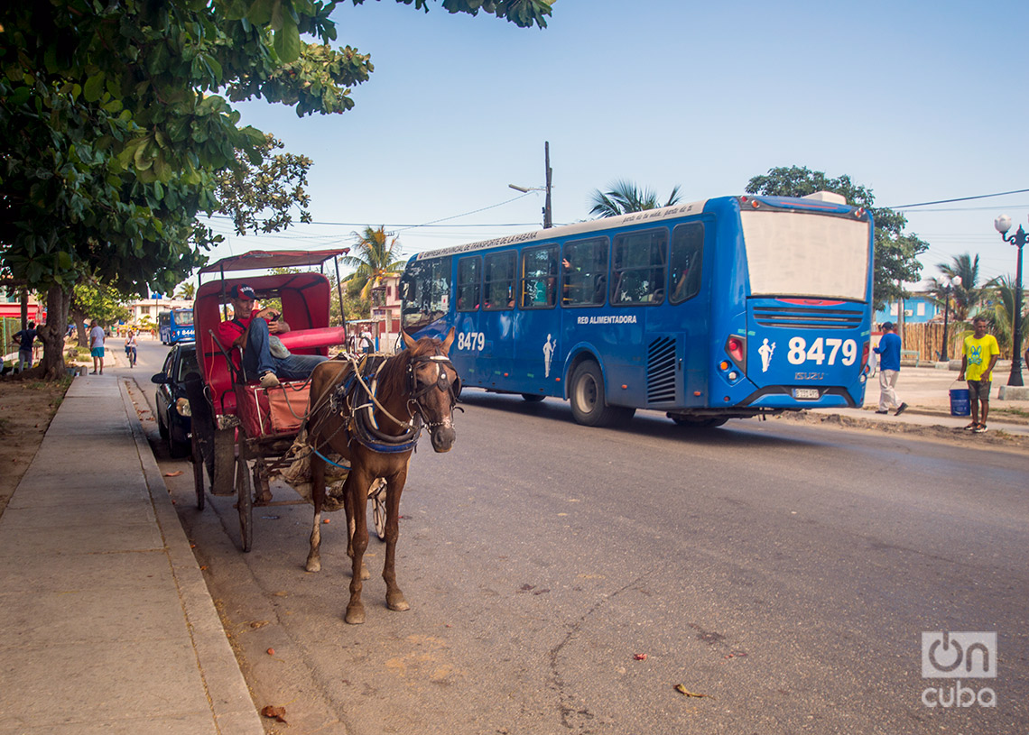 Transporte en Guanabo. Fotos: Otmaro Rodríguez.