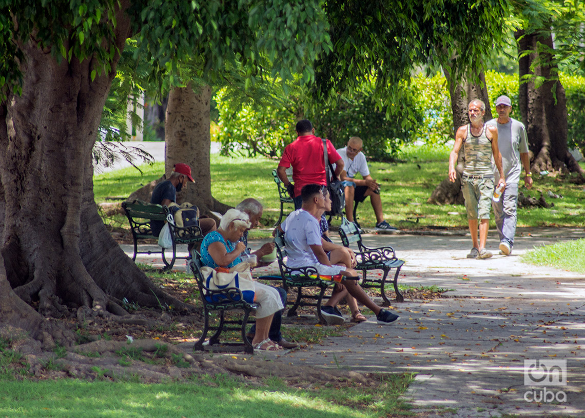 Personas caminan y descansan en un parque del Vedado. Foto: Otmaro Rodríguez.