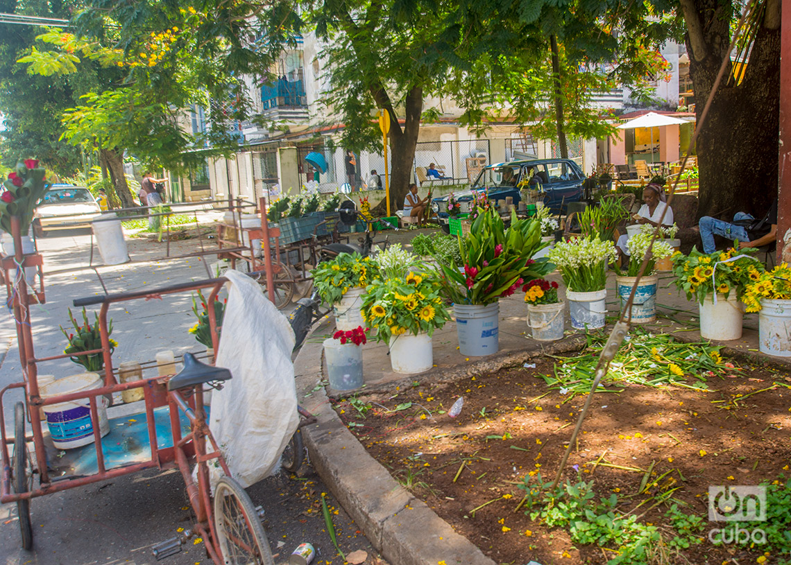 Puesto de venta de flores en el Vedado. Foto: Otmaro Rodríguez.