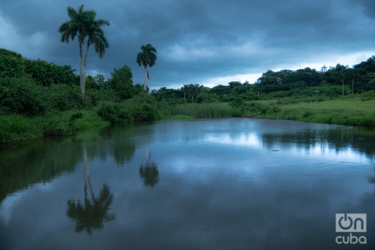 El ojo de agua, San Miguel de los Baños. Foto: Jorge Ricardo.