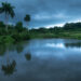 El ojo de agua, San Miguel de los Baños. Foto: Jorge Ricardo.