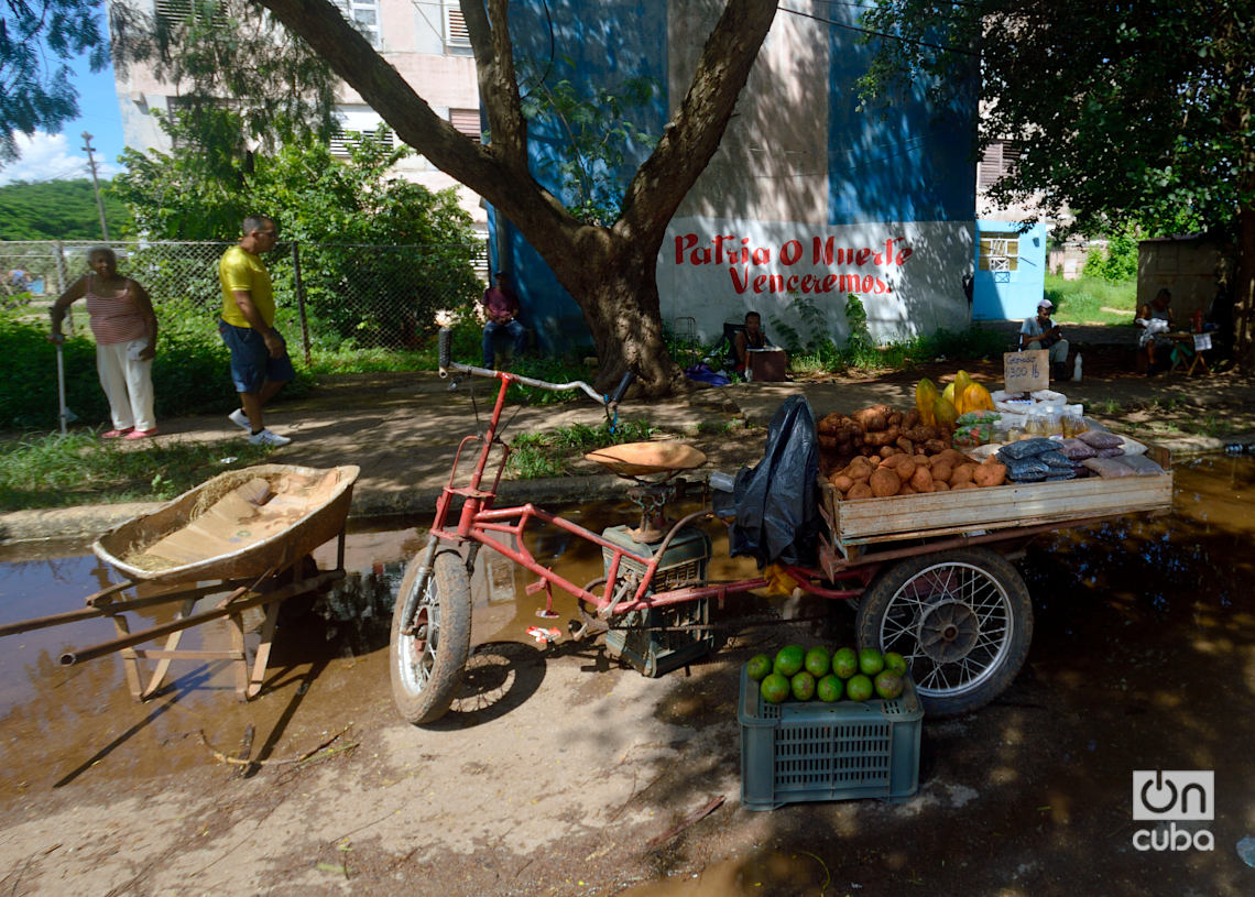 Micro X, en Alamar, La Habana. Foto: Otmaro Rodríguez.