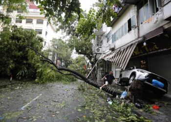 Un hombre salta un árbol caído tras la llegada a tierra del tifón Yagi en Hanoi, Vietnam, 08 de septiembre de 2024. El tifón Yagi, la tormenta más potente de Asia en lo que va de año, tocó tierra en el norte de Vietnam el pasado 07 de septiembre, causando 14 muertos y 220 heridos, según las estadísticas de la Autoridad de Gestión de Desastres y Diques de Vietnam, dependiente del Ministerio de Agricultura y Desarrollo Rural. EFE/LUONG THAI LINH