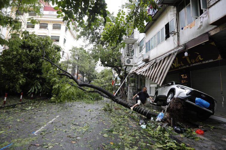 Un hombre salta un árbol caído tras la llegada a tierra del tifón Yagi en Hanoi, Vietnam, 08 de septiembre de 2024. El tifón Yagi, la tormenta más potente de Asia en lo que va de año, tocó tierra en el norte de Vietnam el pasado 07 de septiembre, causando 14 muertos y 220 heridos, según las estadísticas de la Autoridad de Gestión de Desastres y Diques de Vietnam, dependiente del Ministerio de Agricultura y Desarrollo Rural. EFE/LUONG THAI LINH