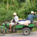 Unos 102 mil 500 vehículos armados por partes y piezas en Cuba fueron inscritos hasta agosto. Foto: Escambray