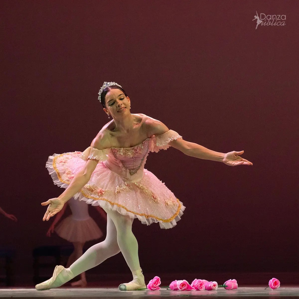 Viengsay Valdés in “Sleeping Beauty,” one of the most moving moments of the gala, held in the Avellaneda Hall of the National Theater of Cuba. Photo: Maykel Espinosa. Taken from the Danza Pública Facebook page.