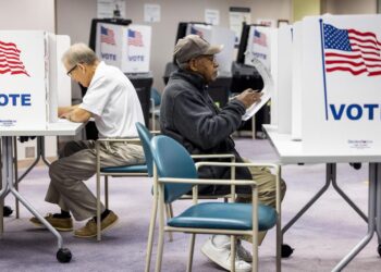 Votantes del condado de Fairfax, en Virginia, ejercen de manera adelantada su derecho al voto para las elecciones presidenciales de 2024. Foto: Shawn Thew / EFE.