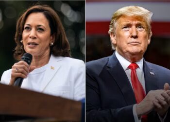 Las encuestas hablan de una reñida disputa entre Kamala Harris y Donald Trump el próximo 5 de noviembre Foto: La Nación